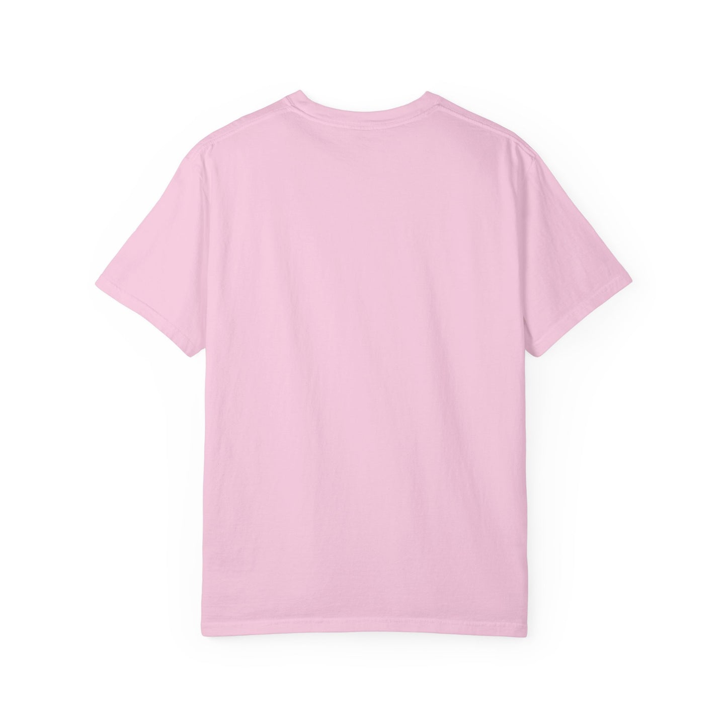 Back side of plain garment-dyed t-shirt