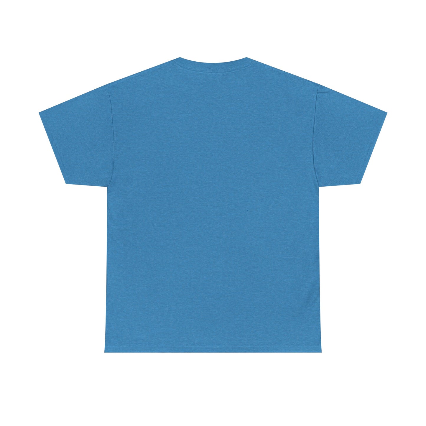 Heather sapphire t-shirt shown from the back on a white background