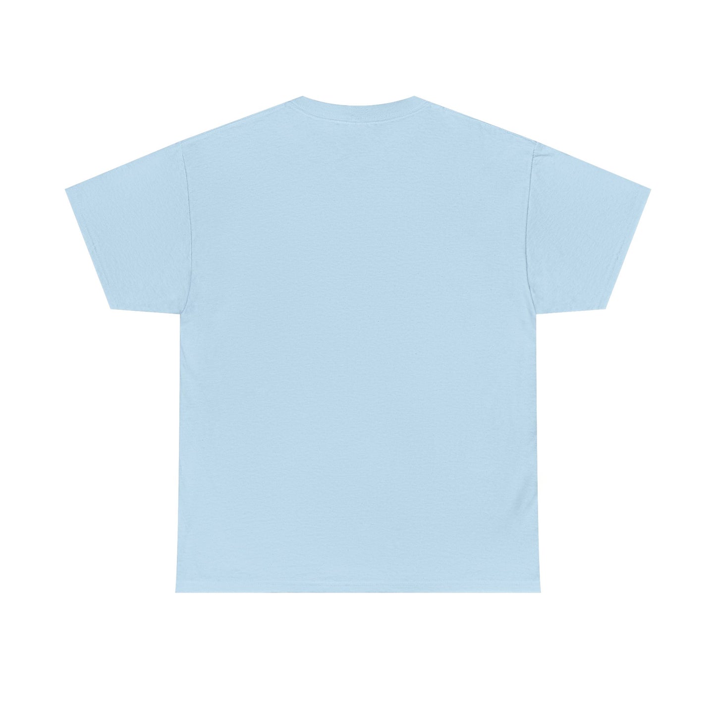 Light blue t-shirt shown from the back on a white background