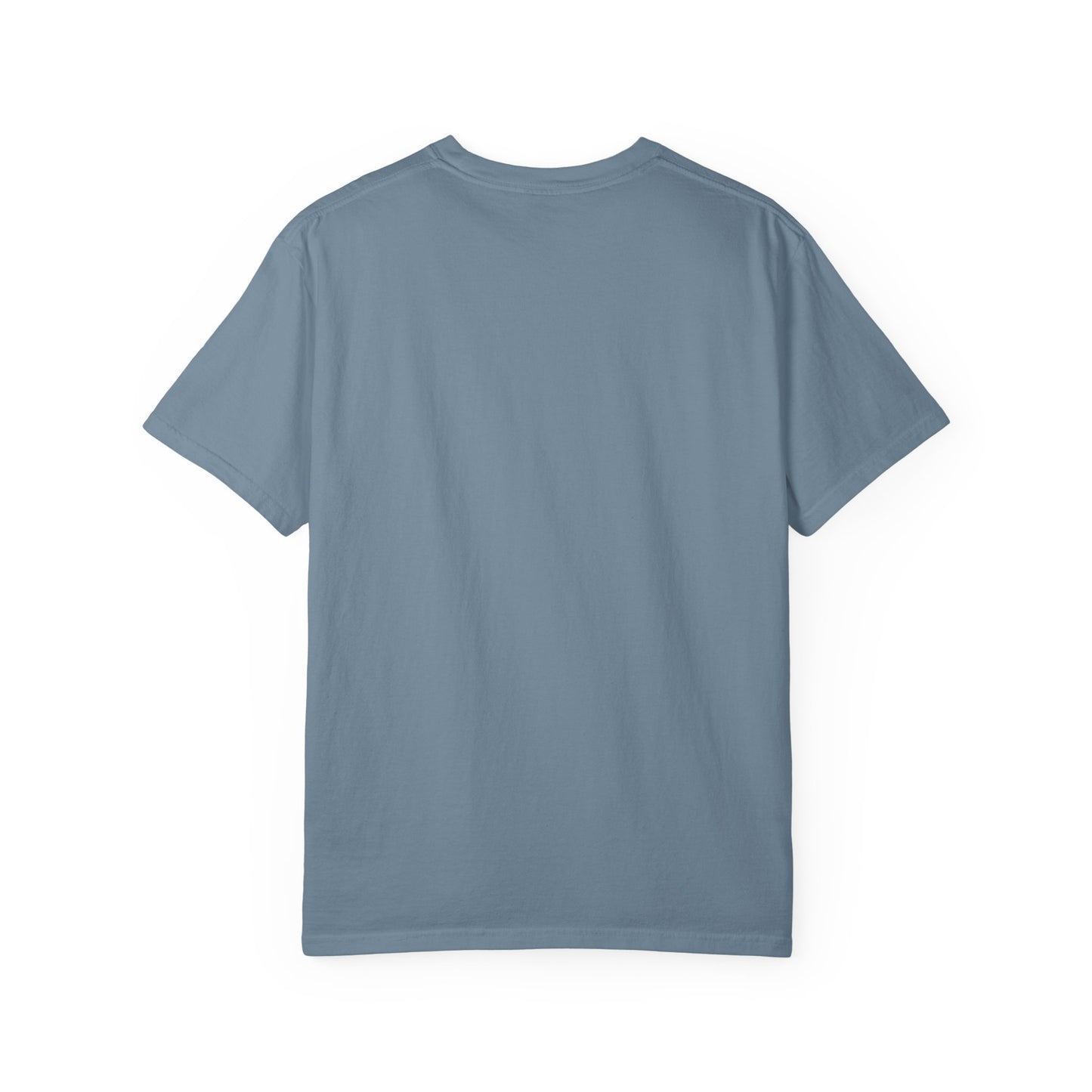 Back side of plain garment-dyed t-shirt