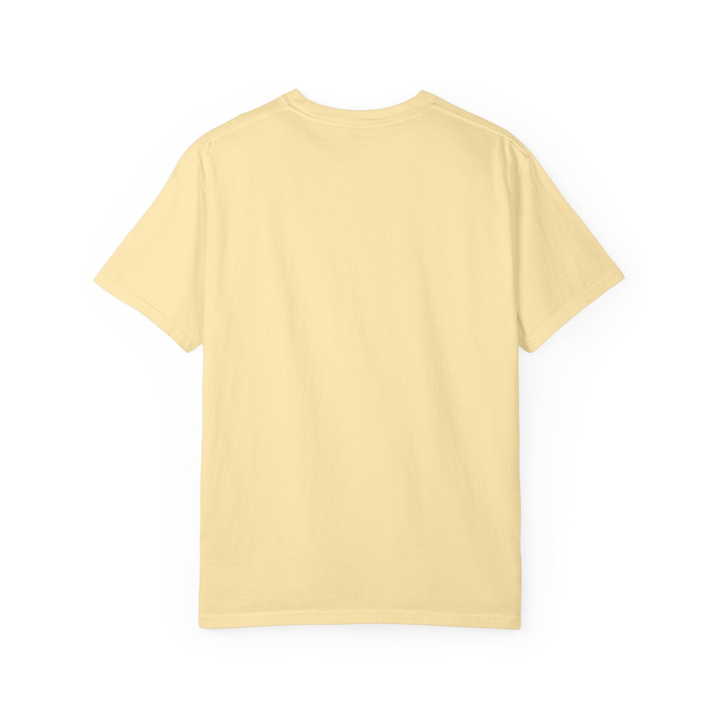 Back side of plain garment-dyed t-shirt