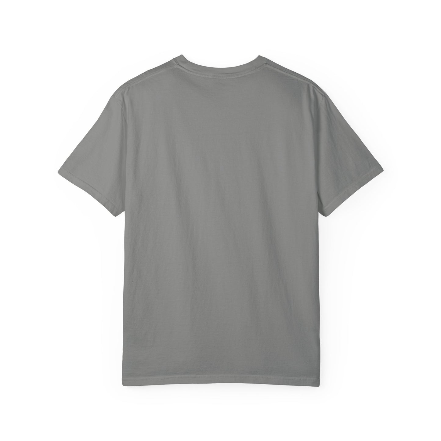 Back side of plain garment-dyed t-shirt