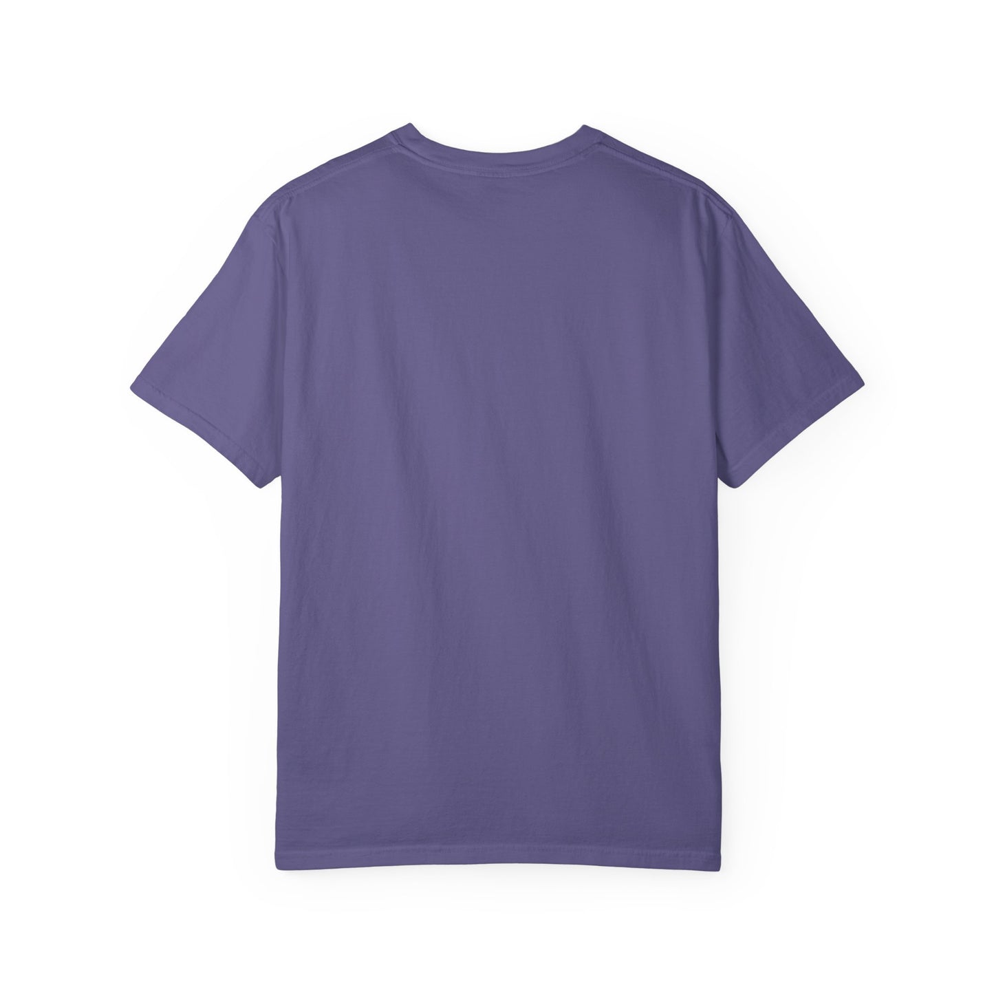 Back side of plain garment-dyed t-shirt