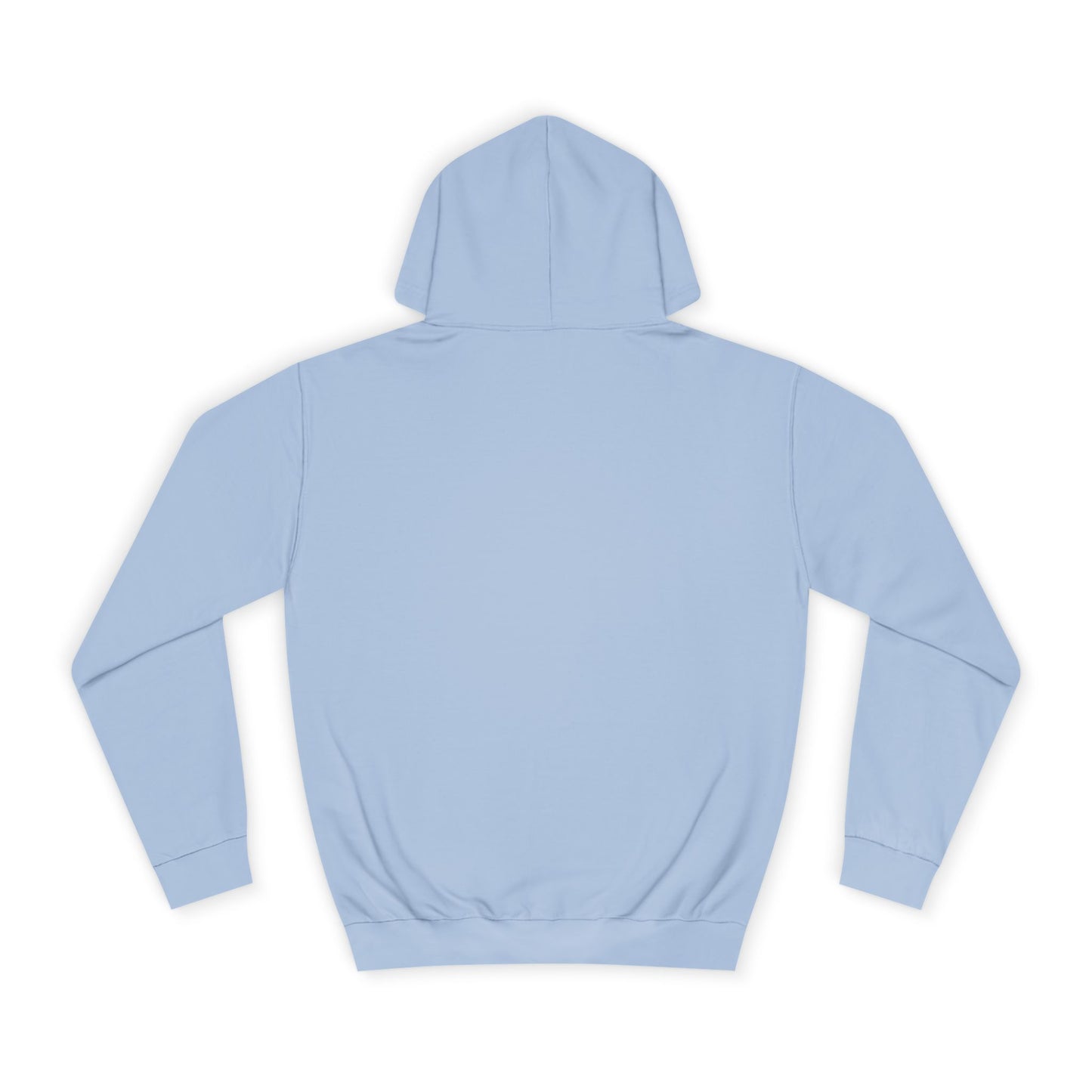 Light blue hoodie shown from the back on a white background.