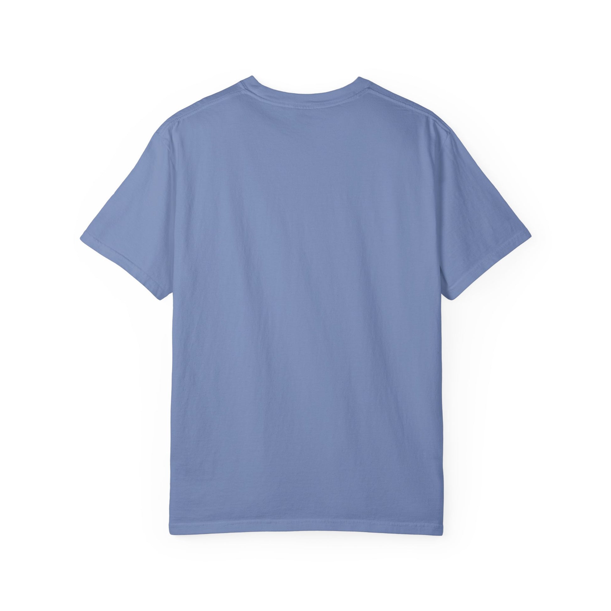 Back side of plain garment-dyed t-shirt