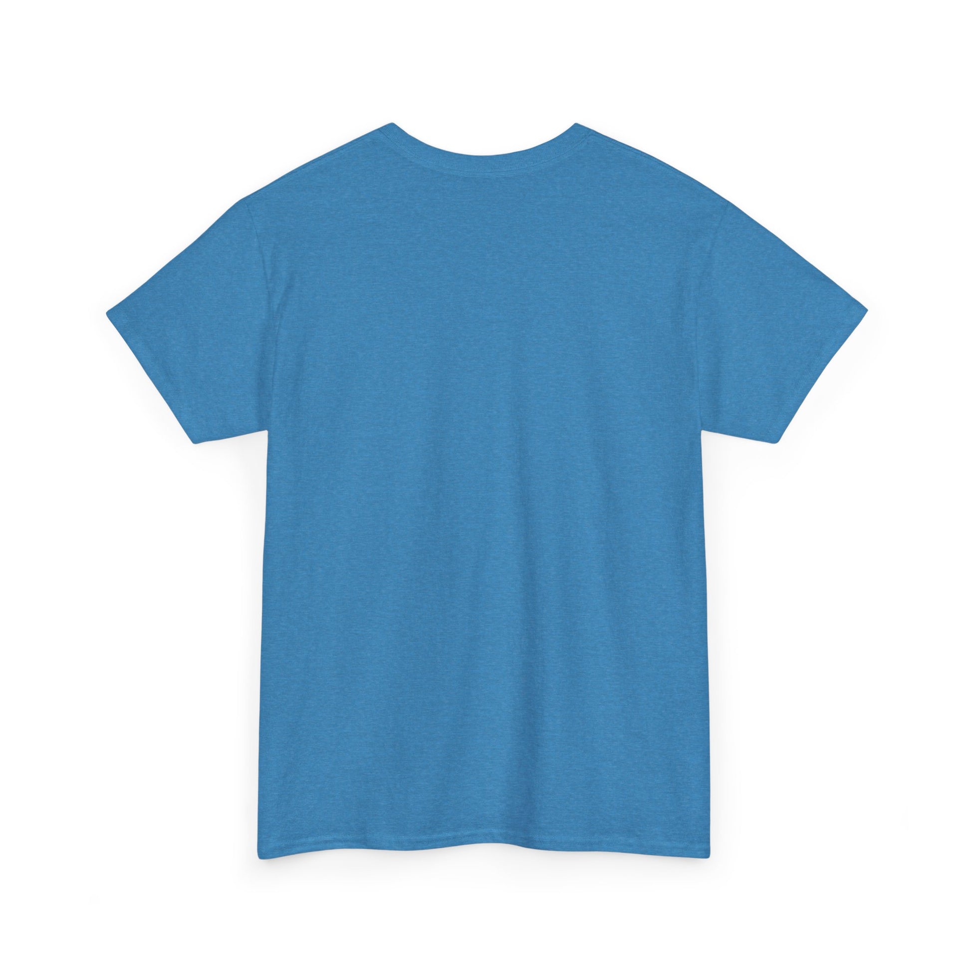 Heather sapphire t-shirt shown from the back on a white background