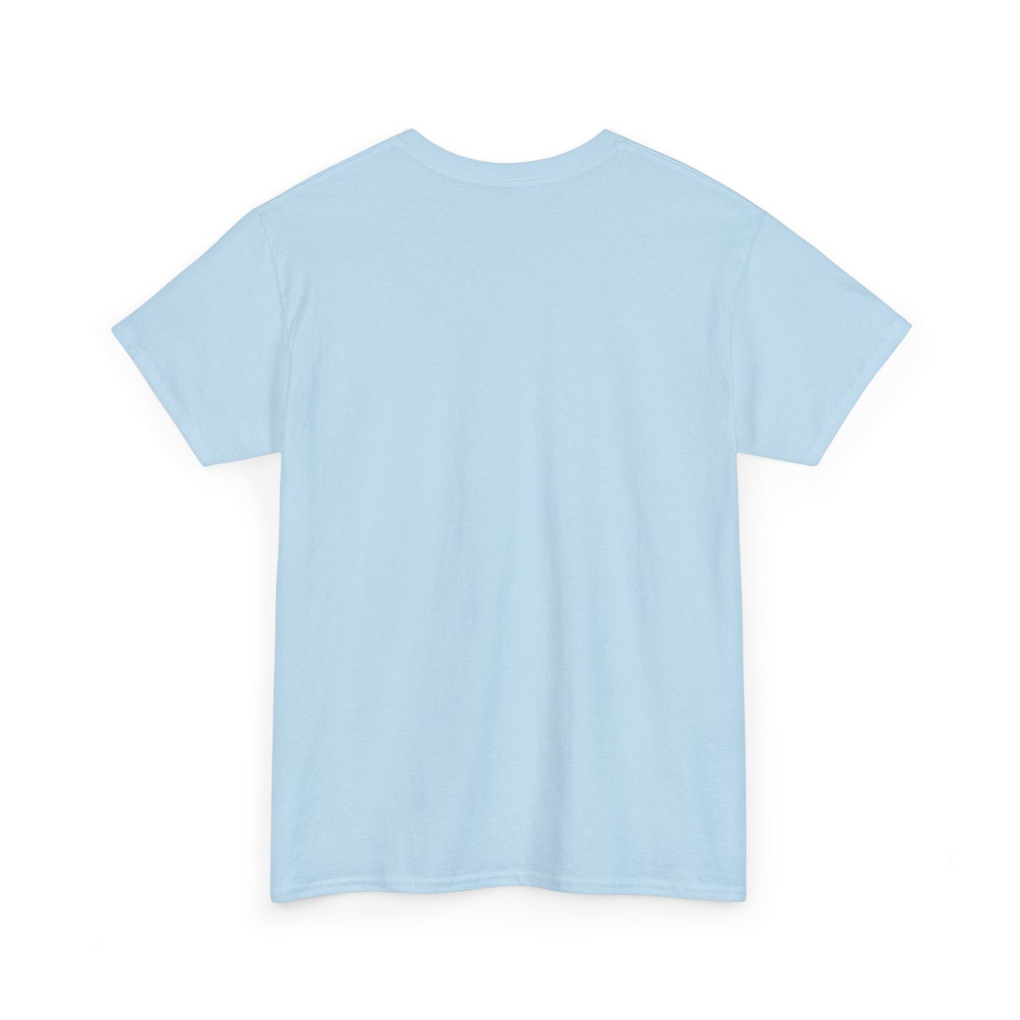 Light blue t-shirt shown from the back on a white background.