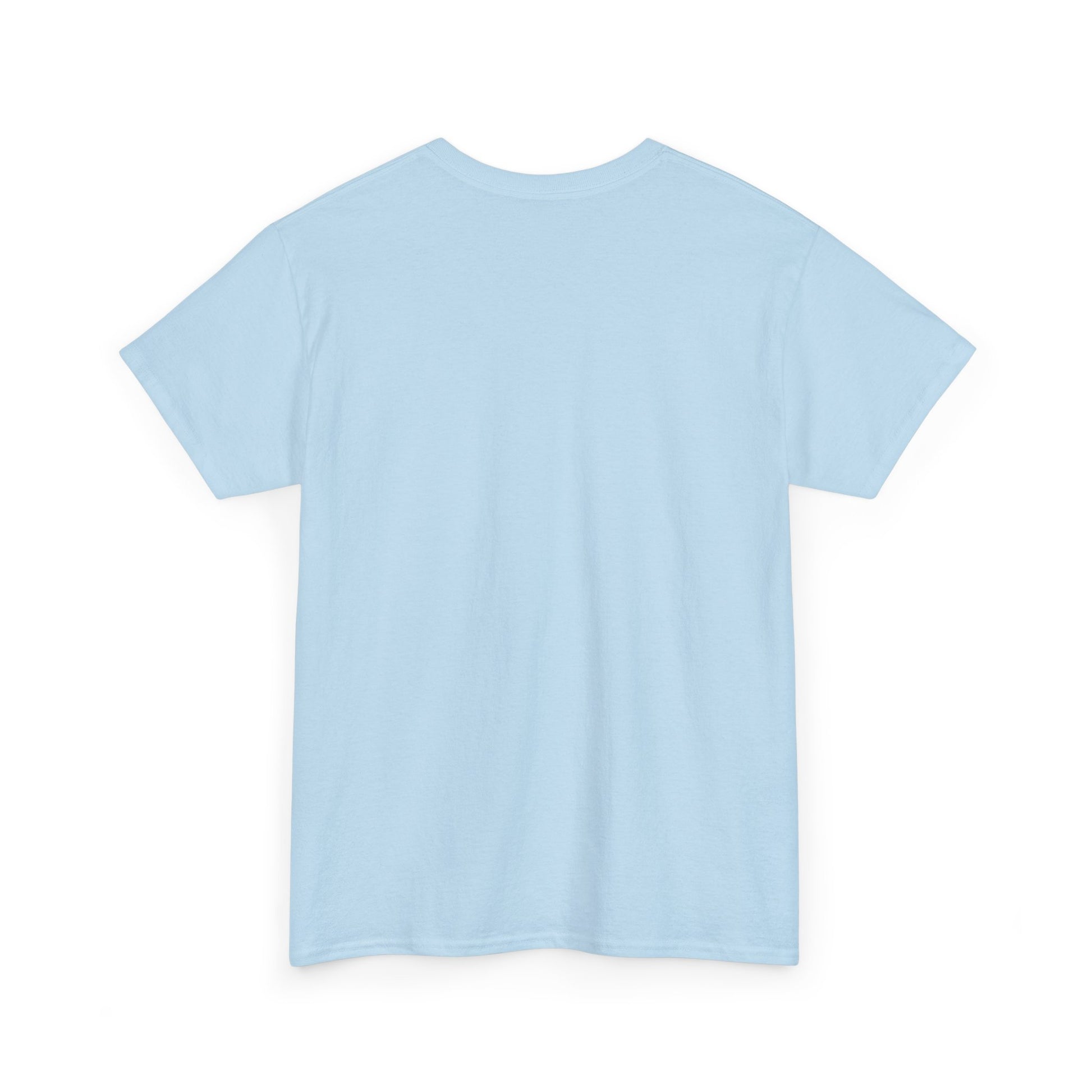 Light blue t-shirt shown from the back on a white background.