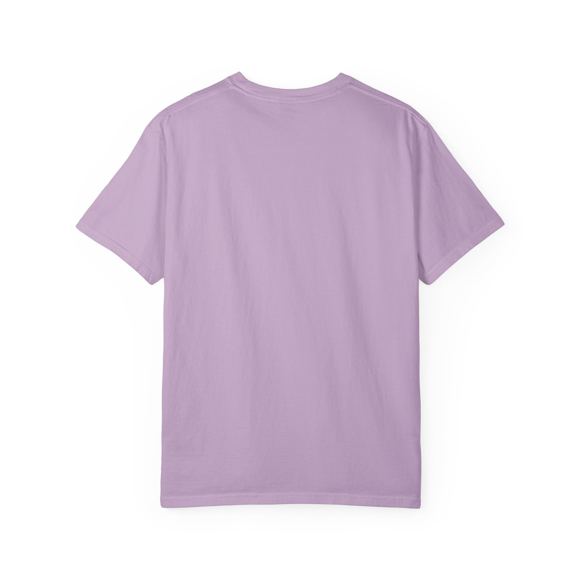 Back side of plain garment-dyed t-shirt