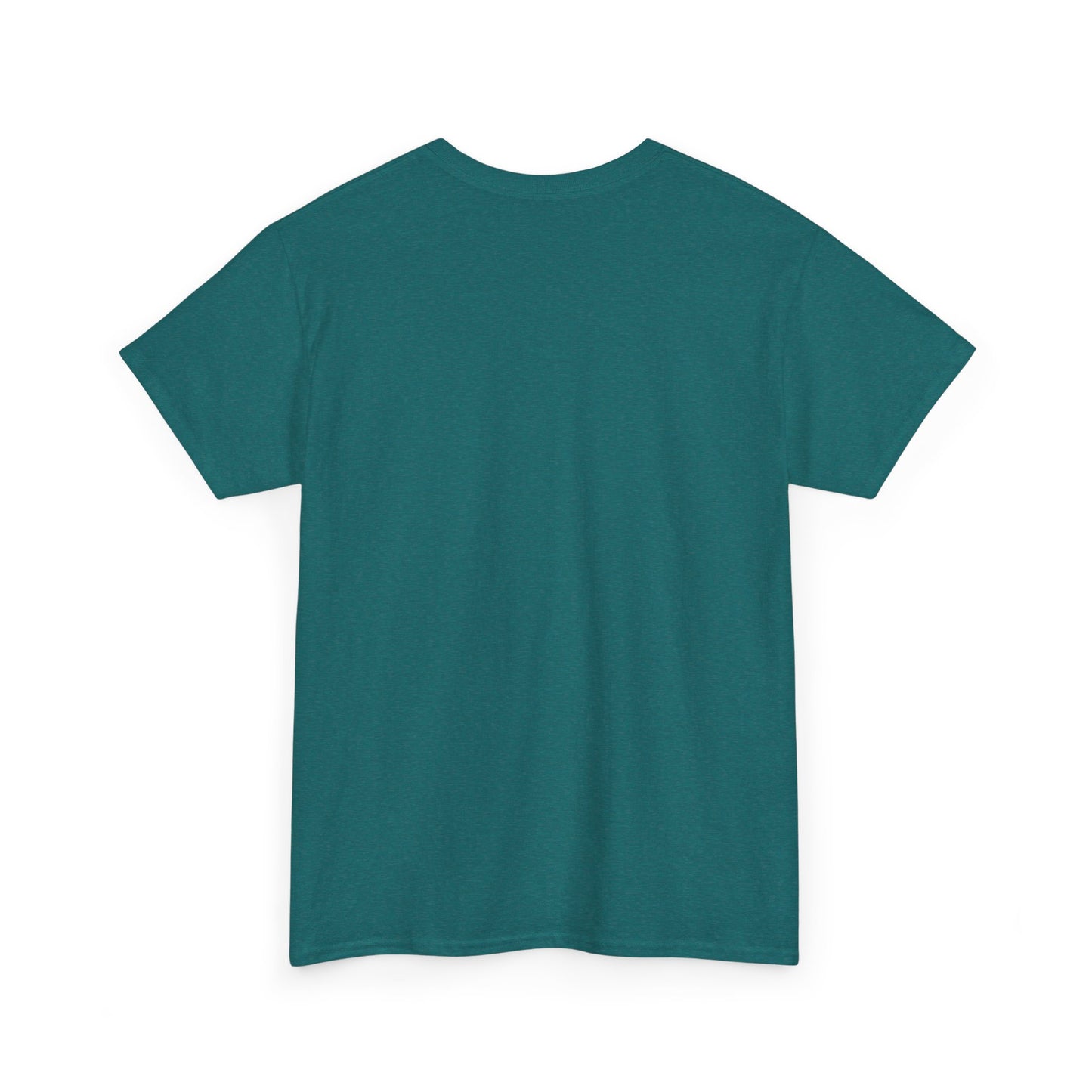 Teal t-shirt shown from the back on a white background