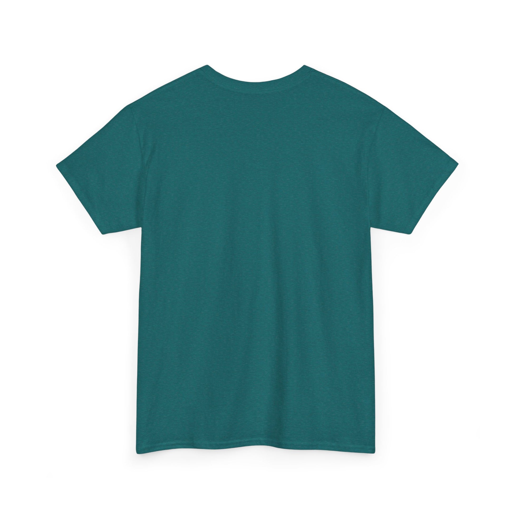 Teal t-shirt shown from the back on a white background