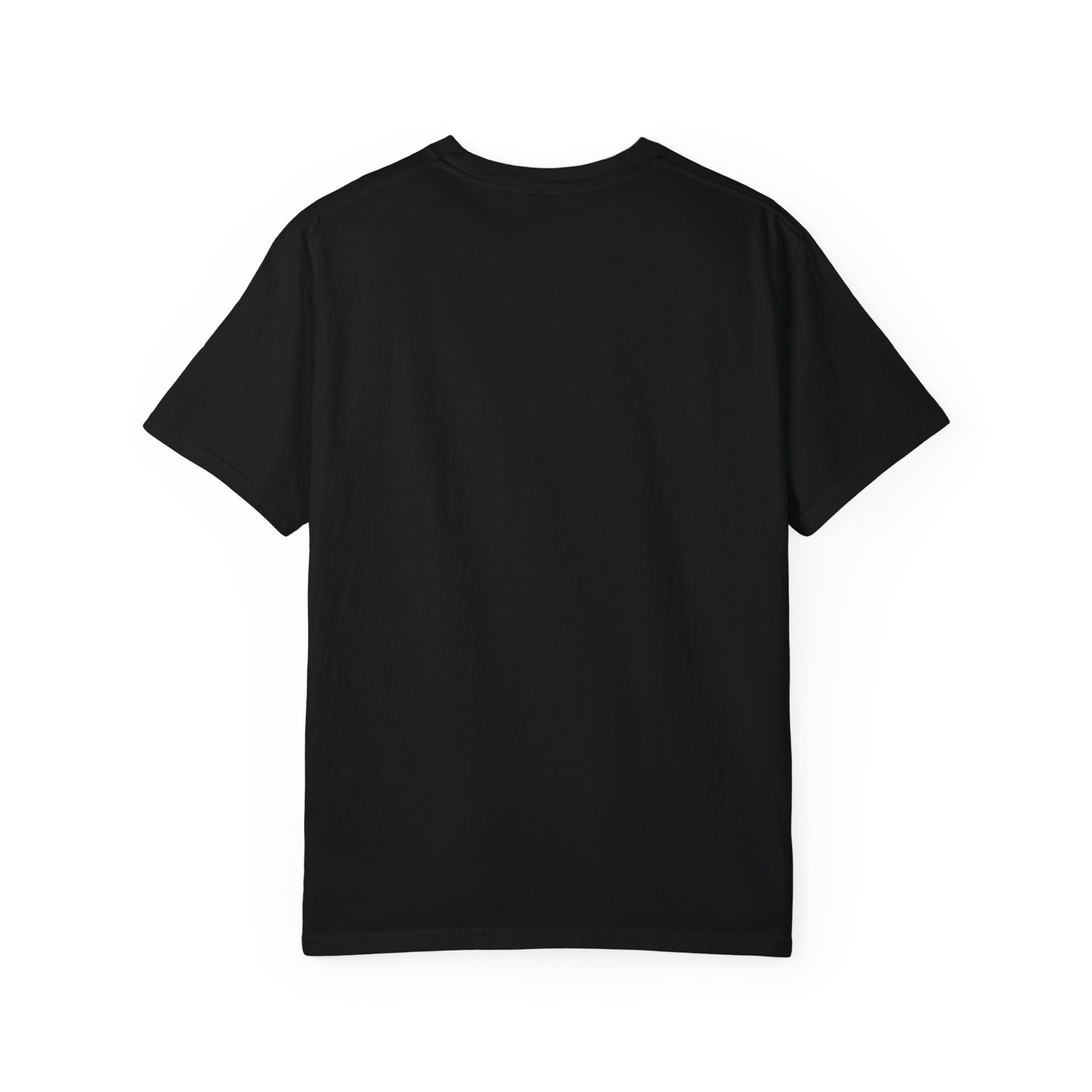 Back side of plain garment-dyed t-shirt