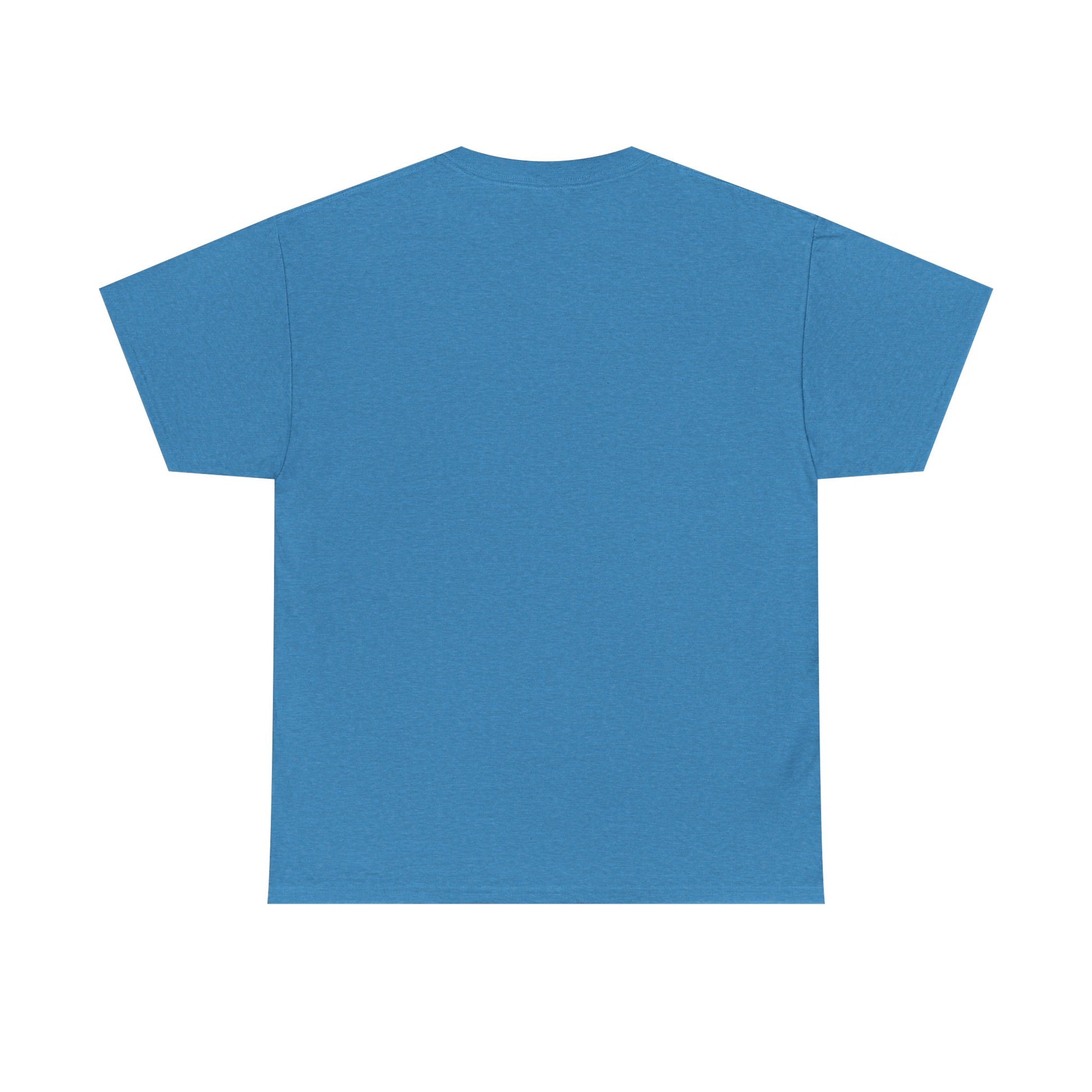 Heather sapphire t-shirt shown from the back on a white background