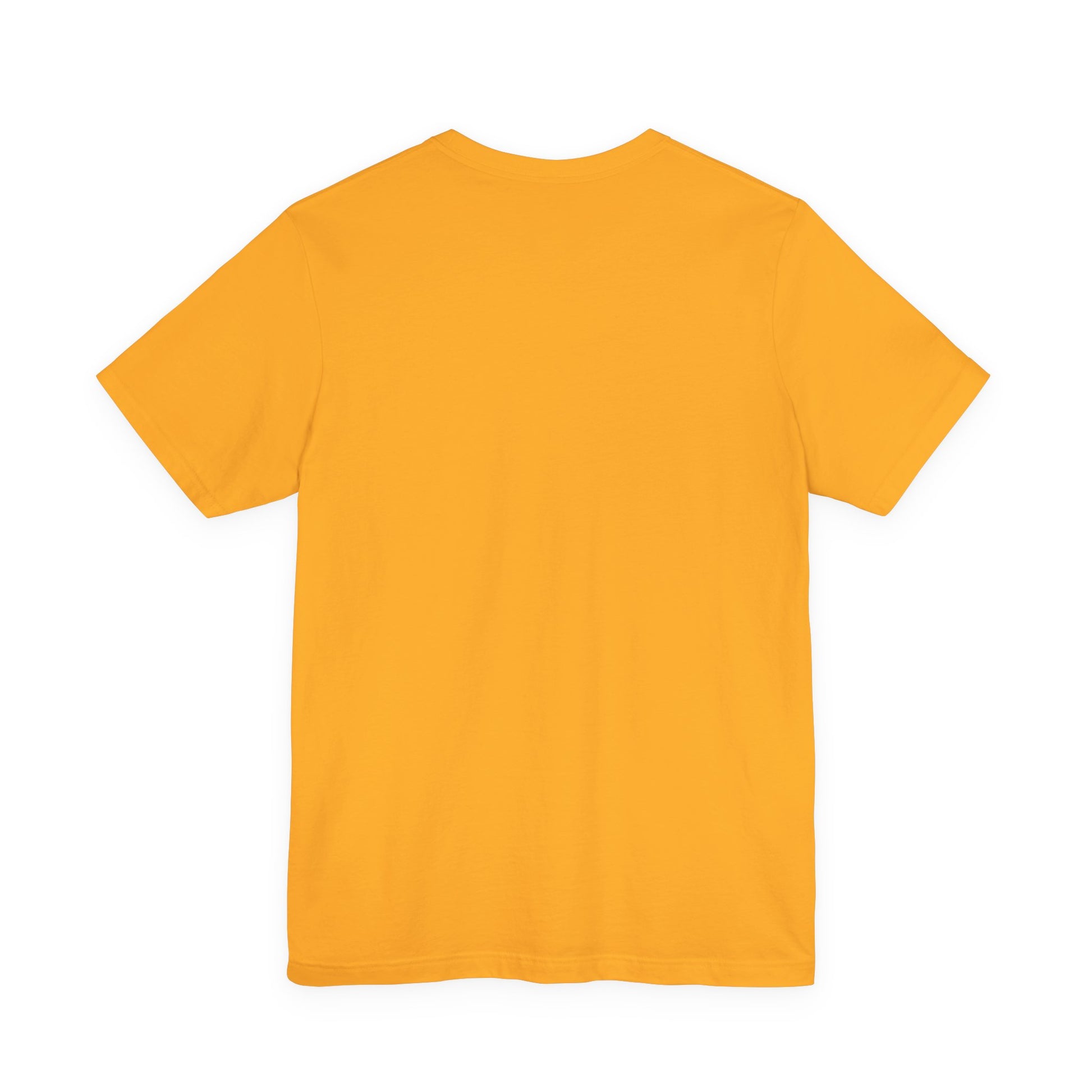 Plain back view of short sleeve jersey tee
