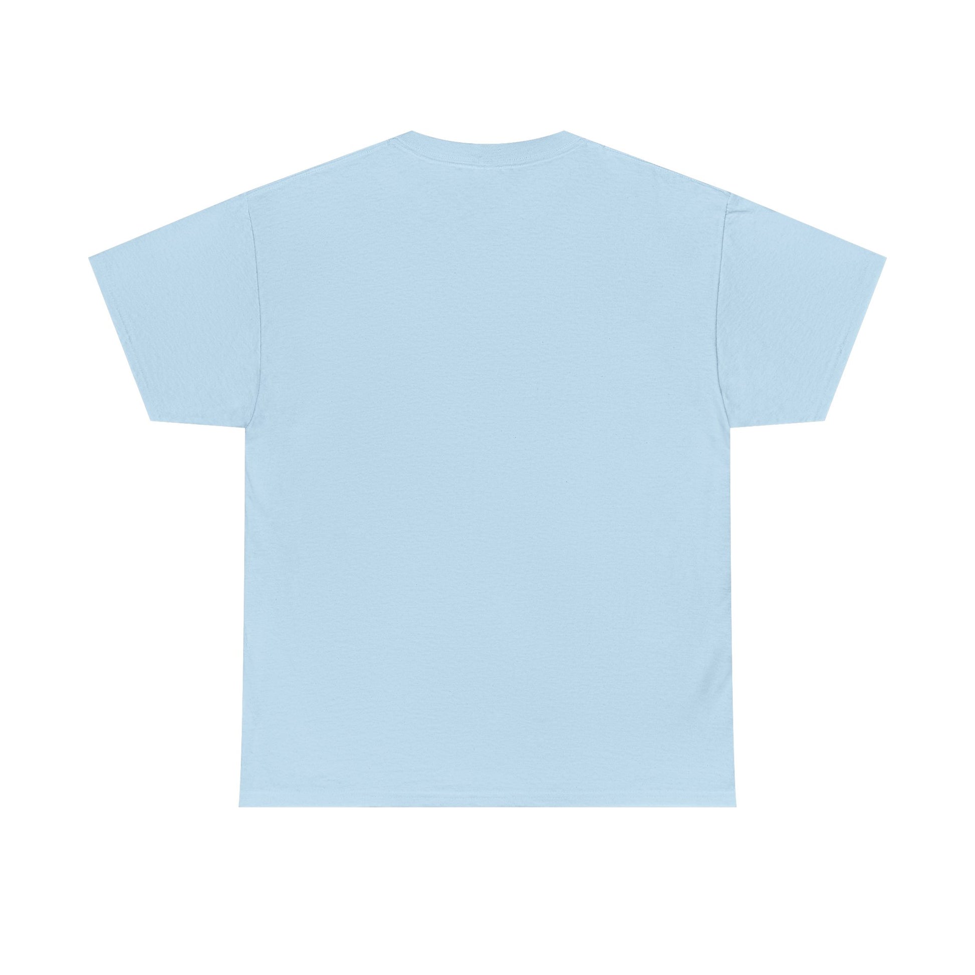 Light blue t-shirt shown from the back on a white background