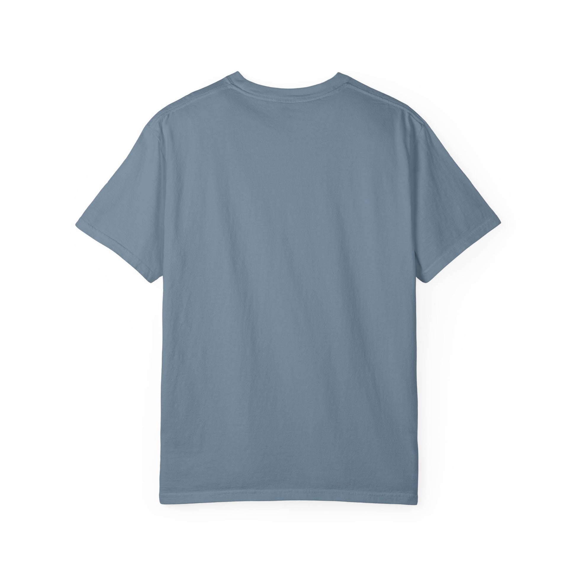 Back side of plain garment-dyed t-shirt