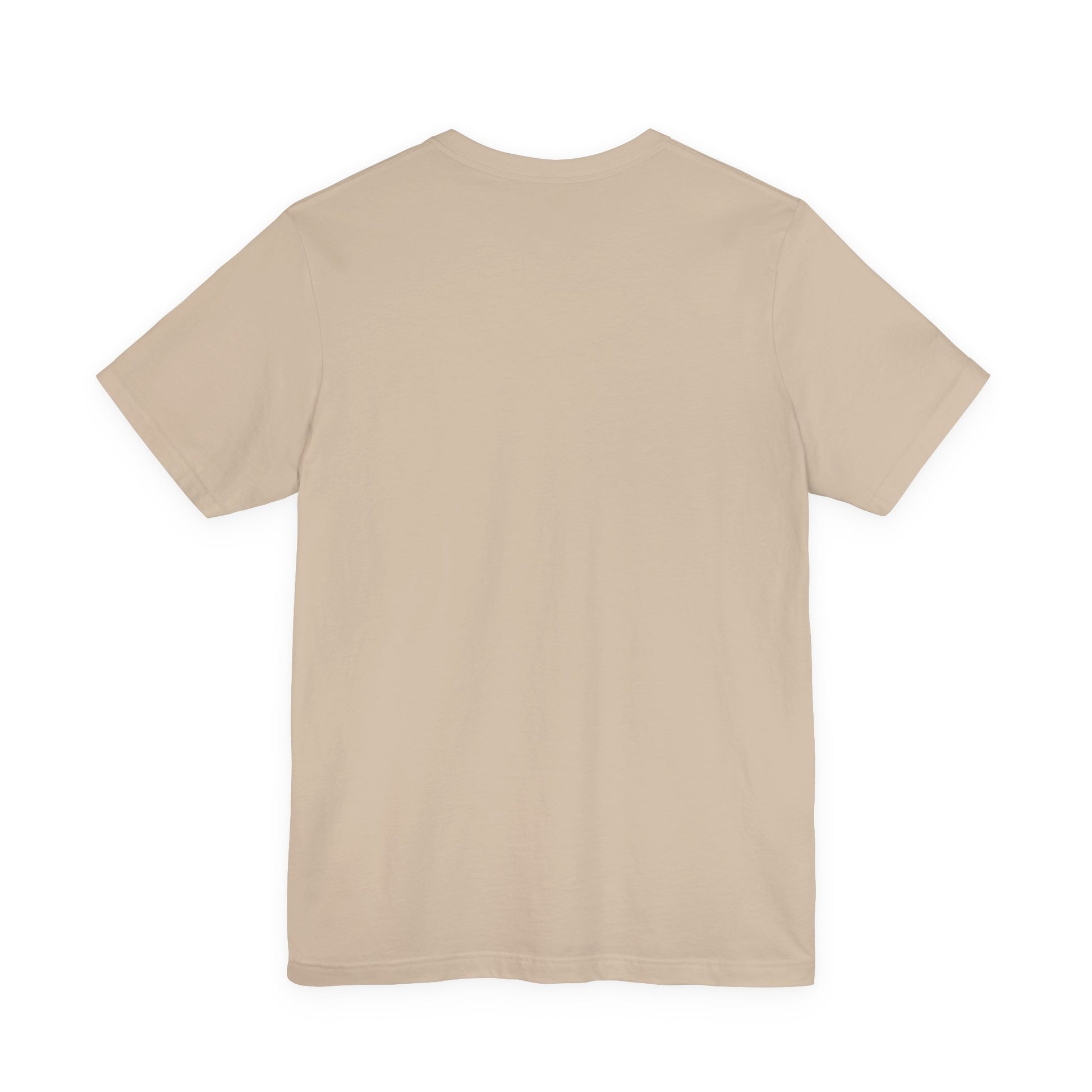 Plain back view of short sleeve jersey tee