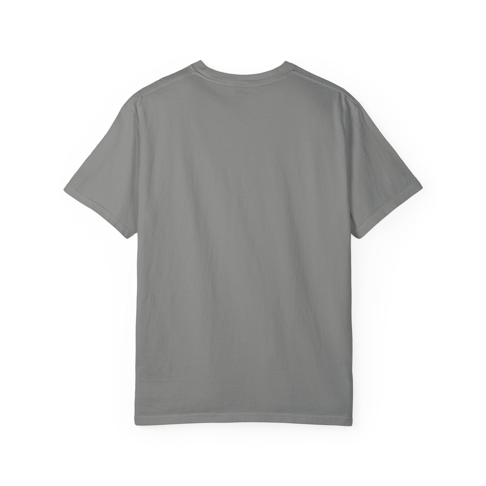 Back side of plain garment-dyed t-shirt