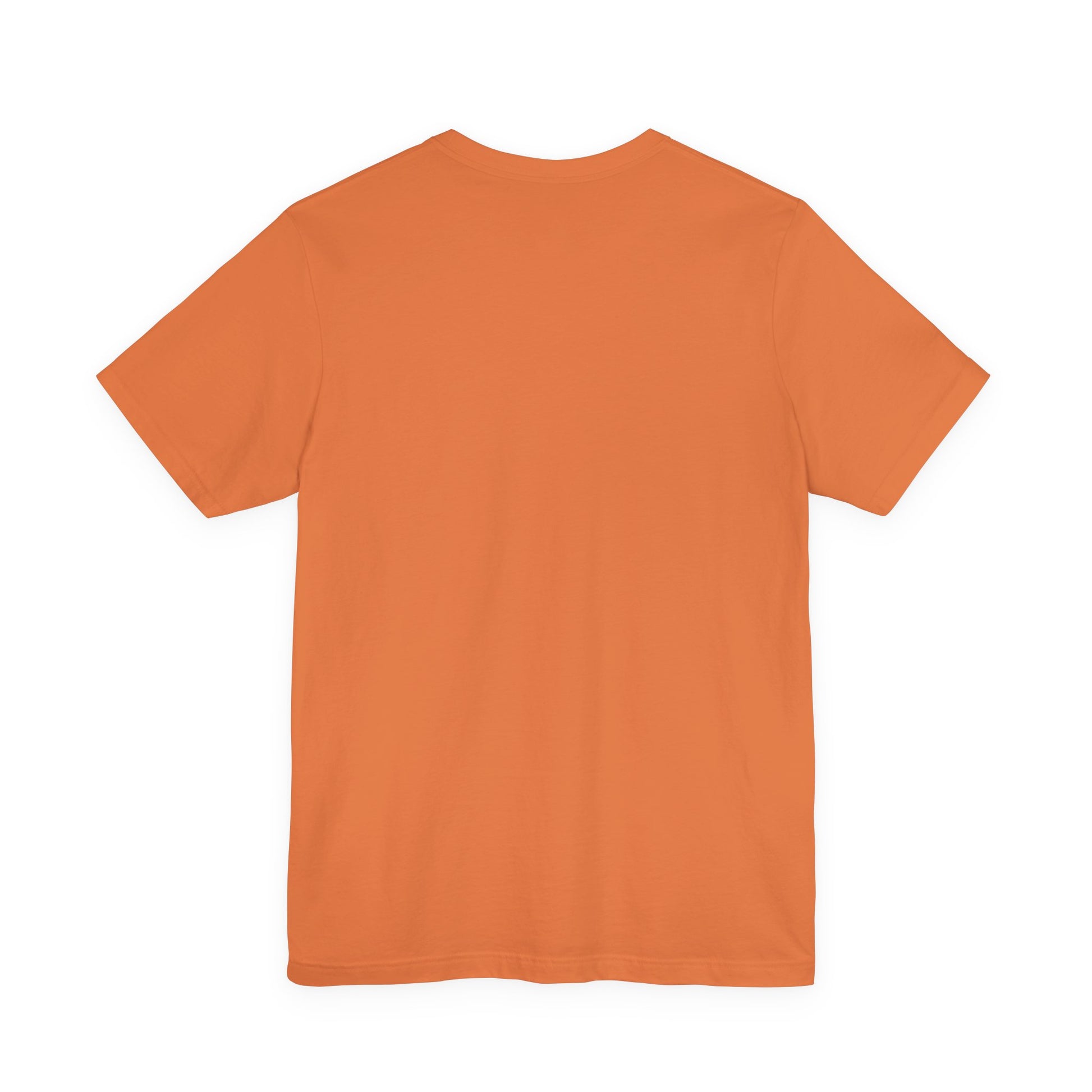 Plain back view of short sleeve jersey tee
