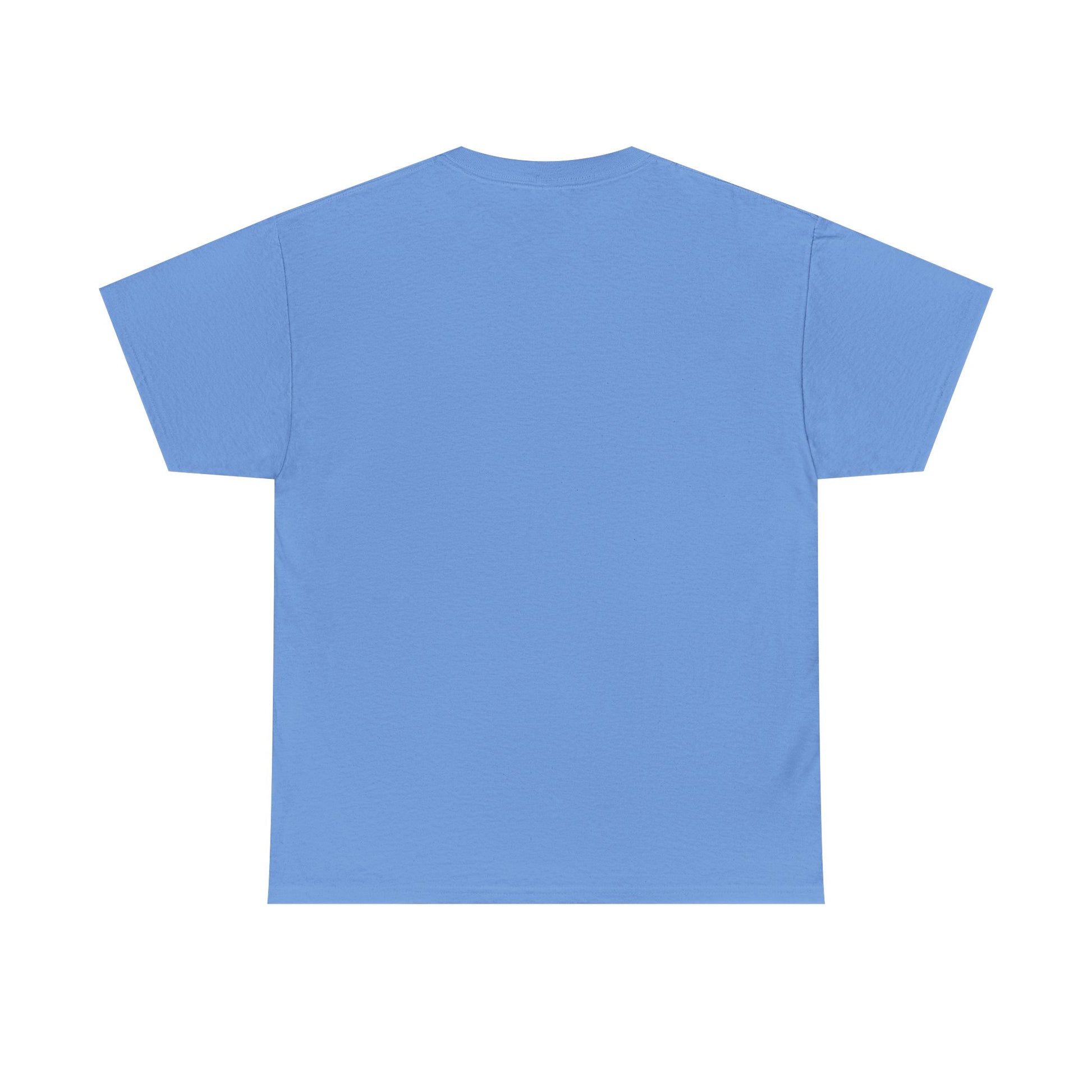 carolina blue t-shirt with no design on a white background