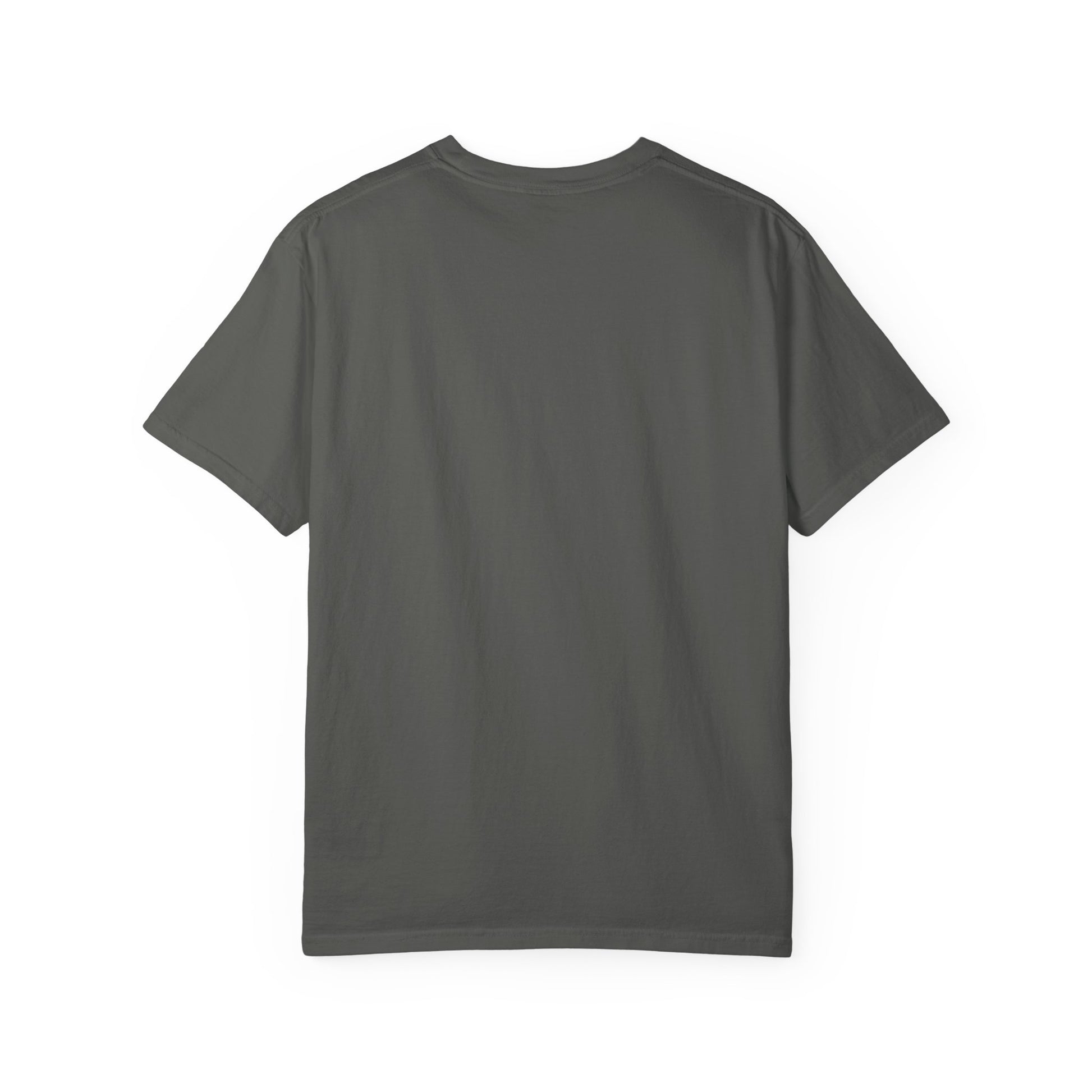 Back side of plain garment-dyed t-shirt