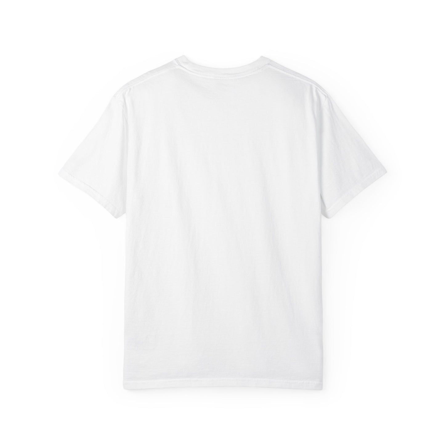 Back side of plain garment-dyed t-shirt