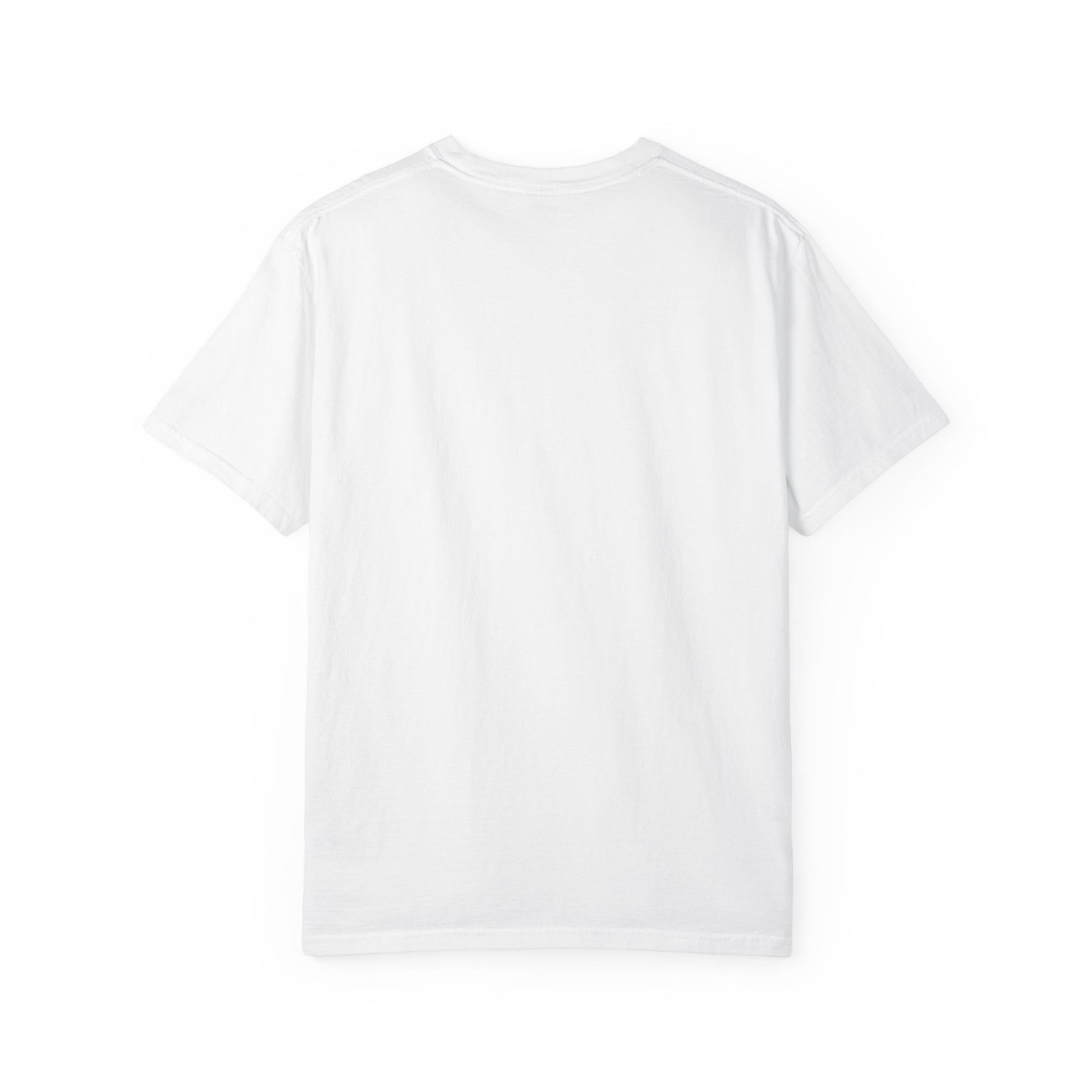 Back side of plain garment-dyed t-shirt