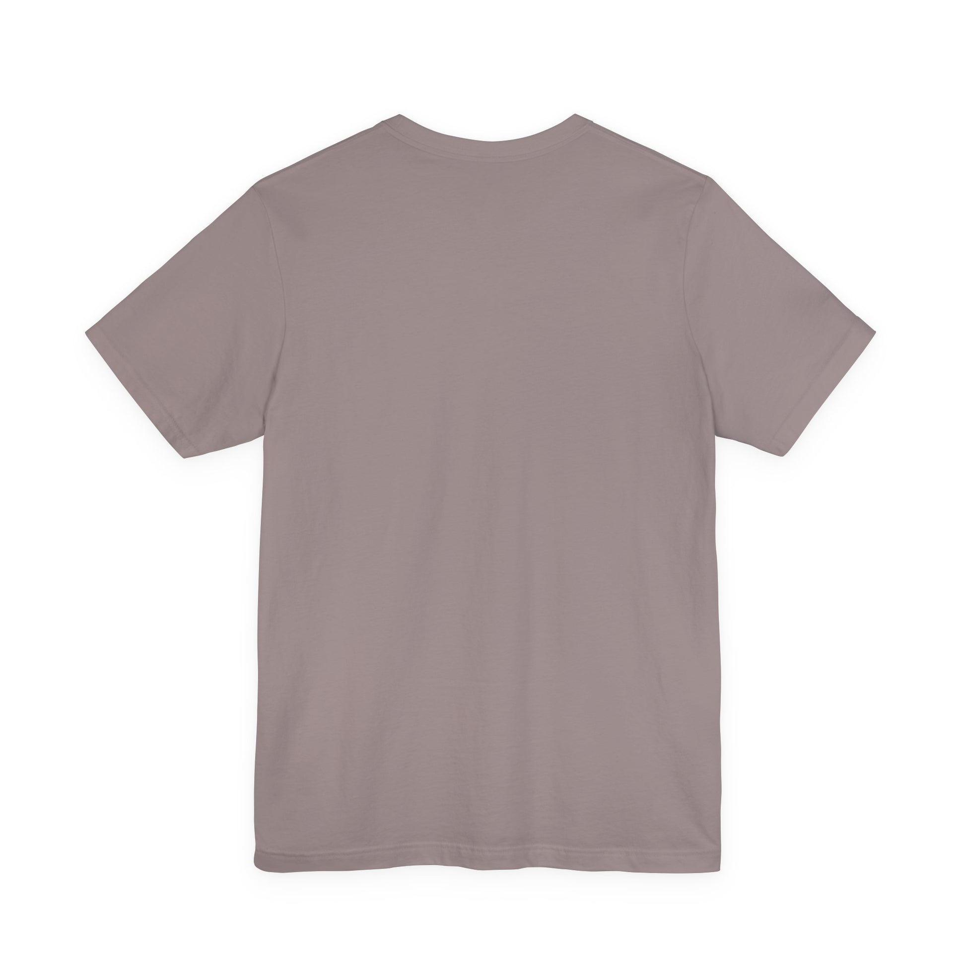 Plain back view of short sleeve jersey tee