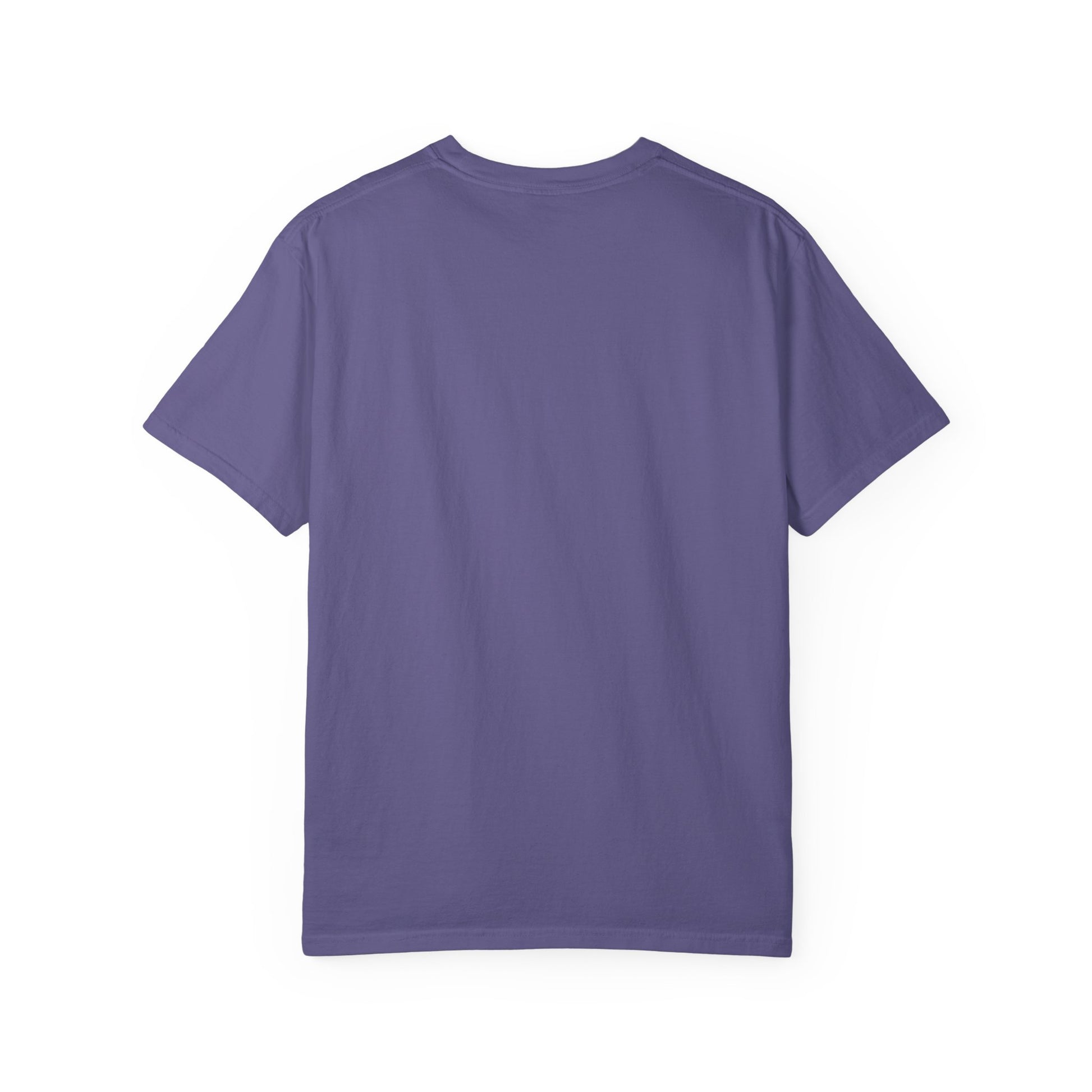 Back side of plain garment-dyed t-shirt