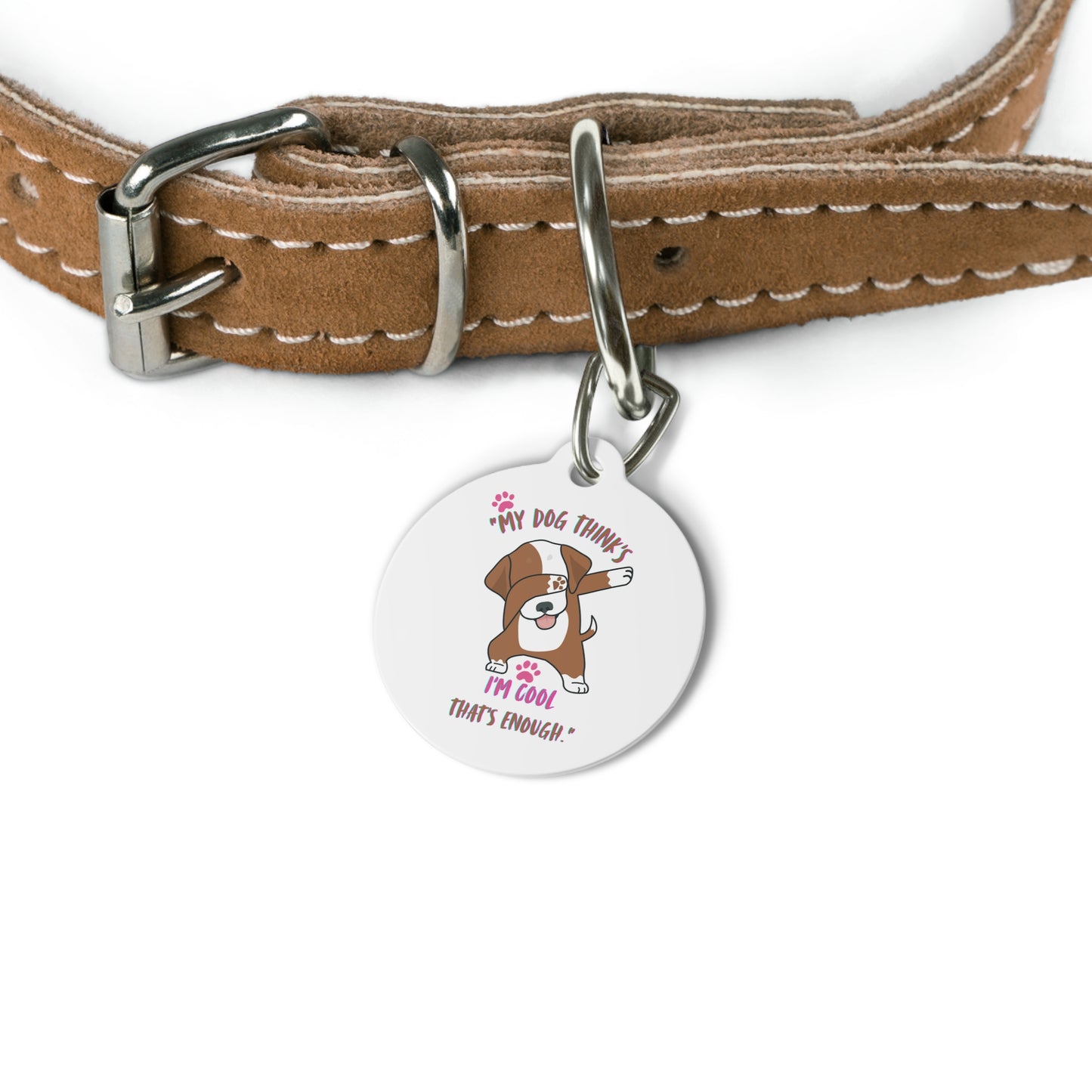 Dog collar with a humorous dog tag on a white background
