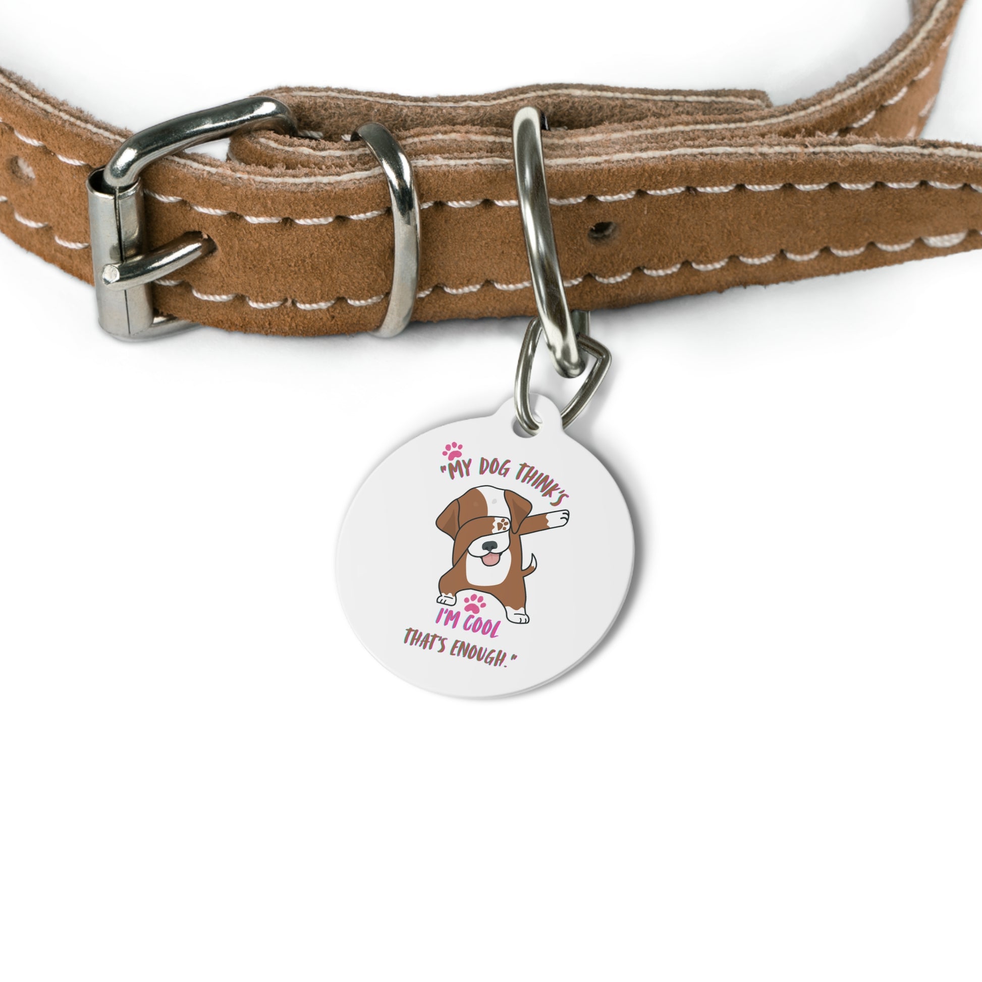 Dog collar with a humorous dog tag on a white background