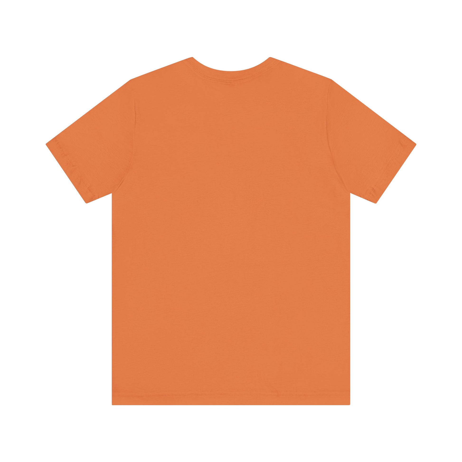 Plain back view of short sleeve jersey tee