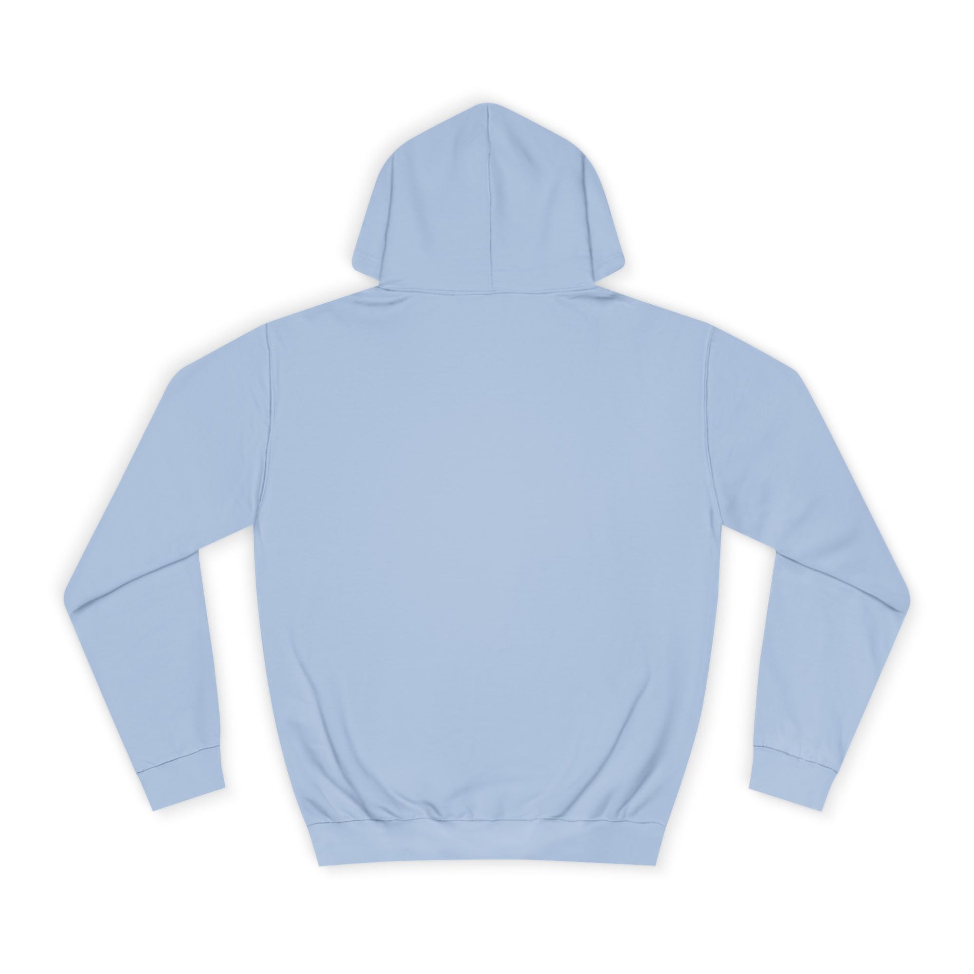 Light blue hoodie shown from the back on a white background.